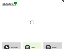 Tablet Screenshot of okrasnestromy.com